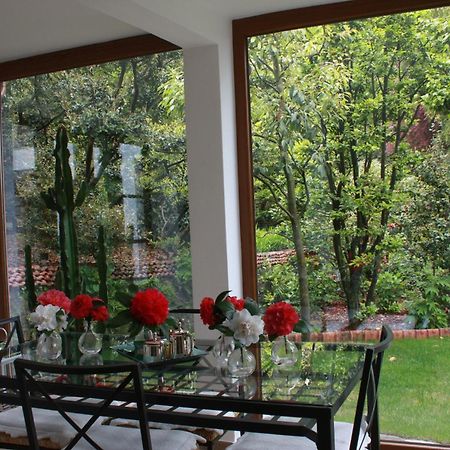 La Camelia D'Oro Daire Oggebio Dış mekan fotoğraf