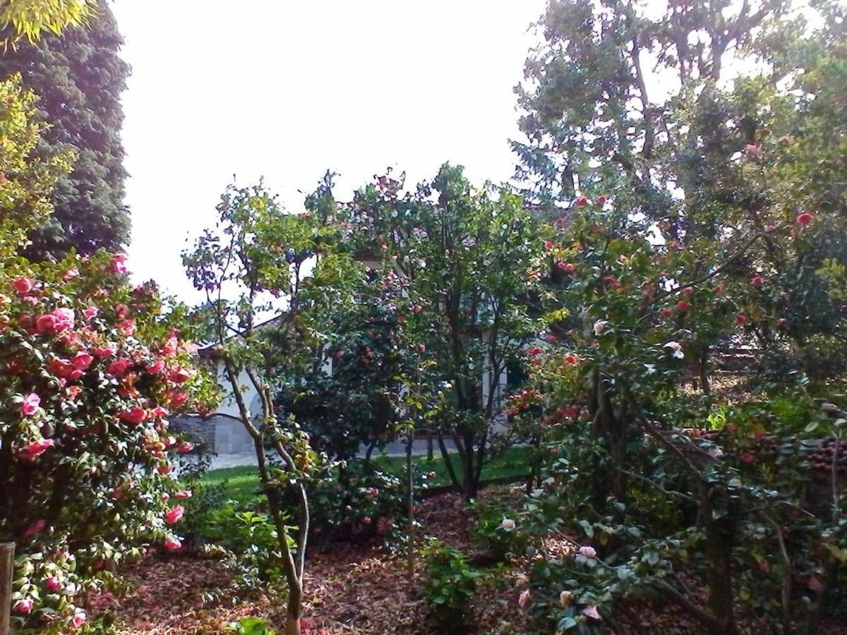 La Camelia D'Oro Daire Oggebio Dış mekan fotoğraf