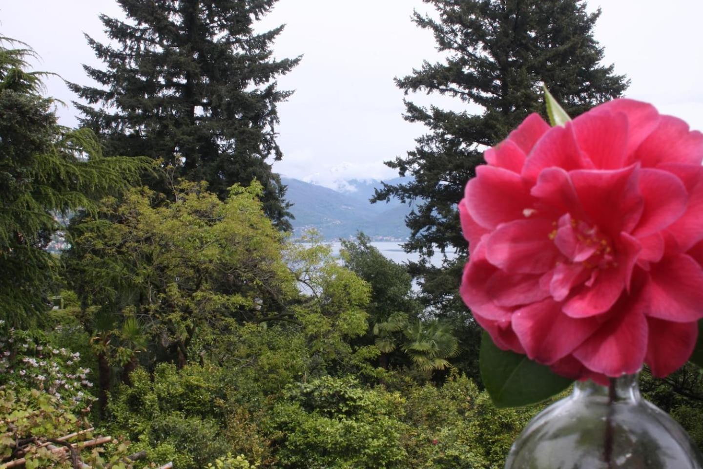 La Camelia D'Oro Daire Oggebio Dış mekan fotoğraf